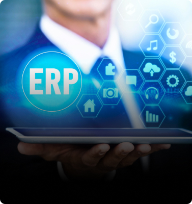 /services/erp-development