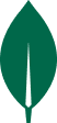 MongoDB / Cloud Database